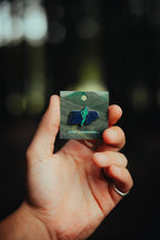 Refuge Researchers Medal