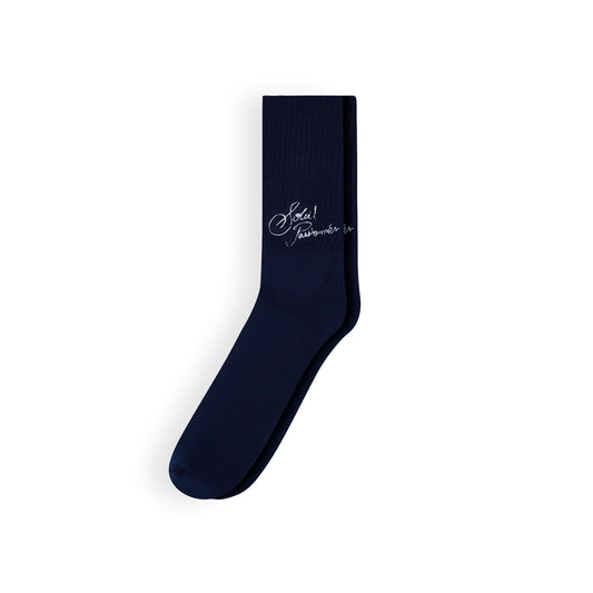 Soleil Passionnés Craft Socks Blue
