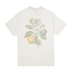 Camiseta Boxy Patrimoine Acid Wash - Off White