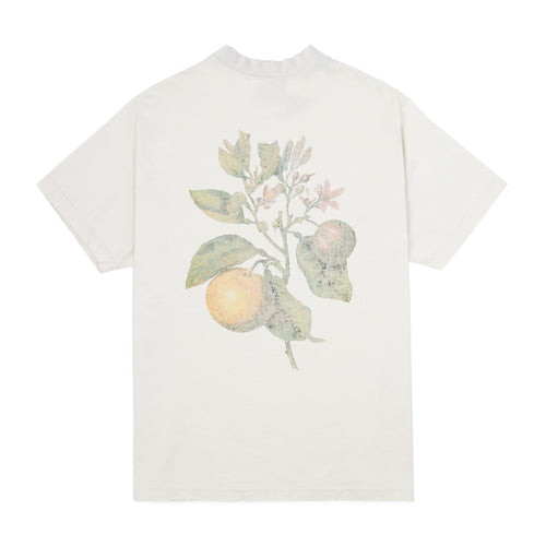 Camiseta Boxy Patrimoine Acid Wash - Off White